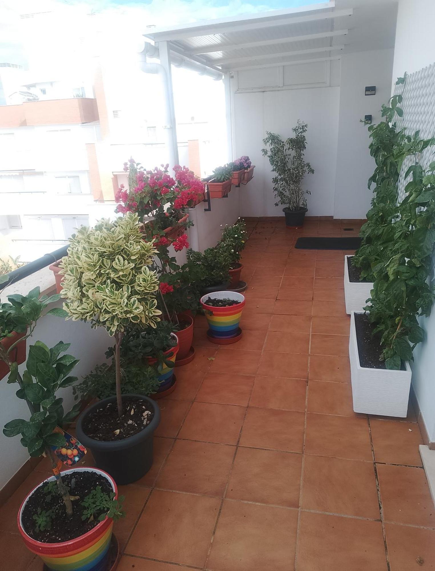 Golf, Piscina,Playa Apartman Roquetas de Mar Kültér fotó